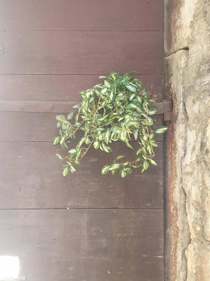 Apartmani Nedo Split Exterior photo